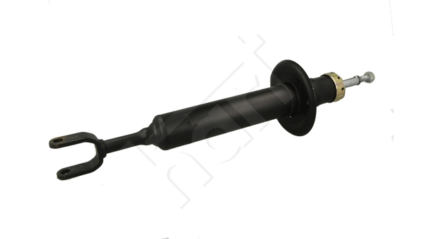 Shock Absorber (811 168)
