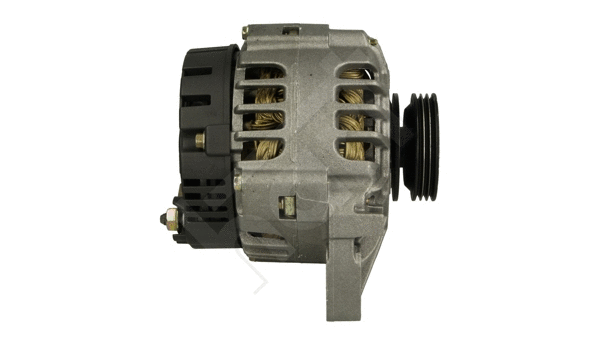 Alternator (546 485)