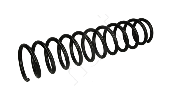 Suspension Spring (462 805)