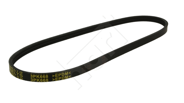 V-Ribbed Belt (368 834)
