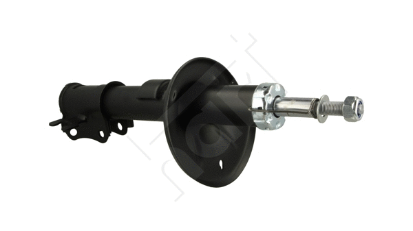 Shock Absorber (807 812)