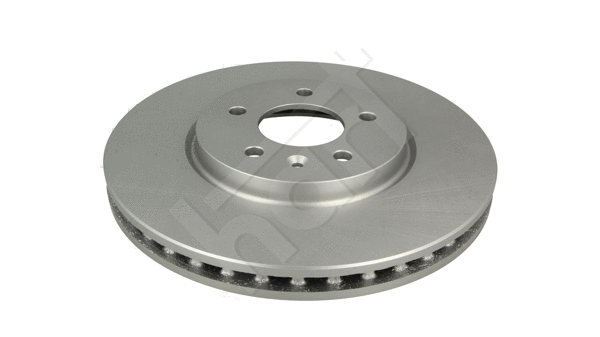 Brake Disc (259 575)