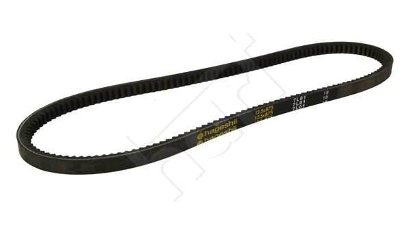 V-Belt (334 193)