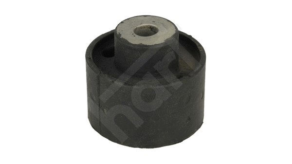 Bushing, axle beam (437 862)