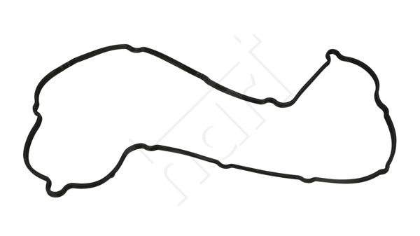 Gasket, cylinder head cover (717 893)