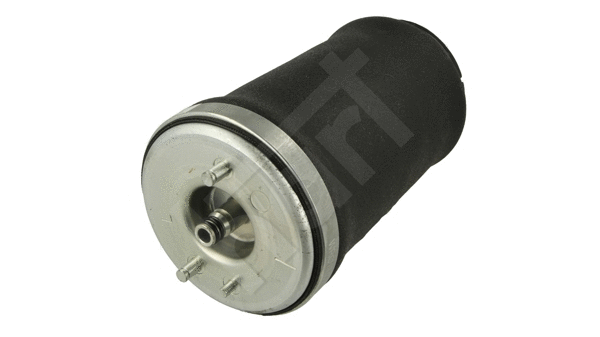 Air Spring, suspension (813 024)