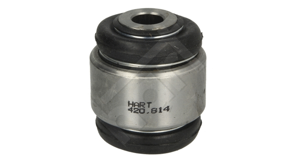 Mounting, control/trailing arm