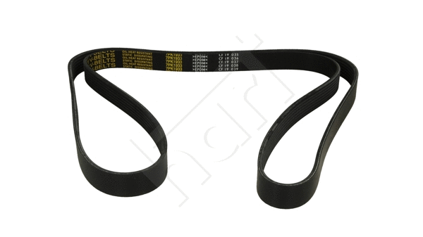 V-Ribbed Belt (917 779)