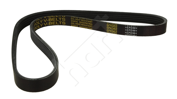 V-Ribbed Belt (331 932)