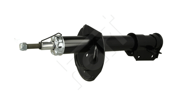 Shock Absorber (806 829)
