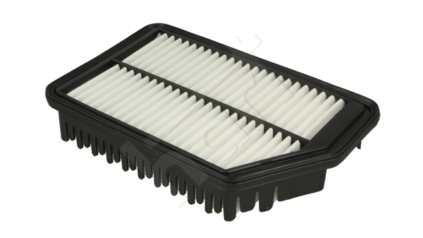 Air Filter (907 500)