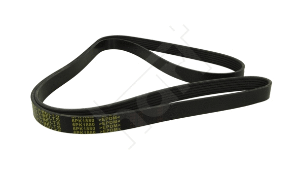 V-Ribbed Belt (368 969)