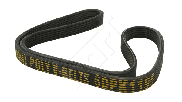 V-Ribbed Belt (338 073)