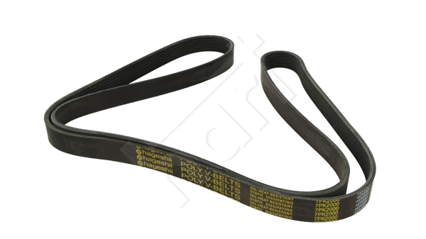 V-Ribbed Belt (917 747)