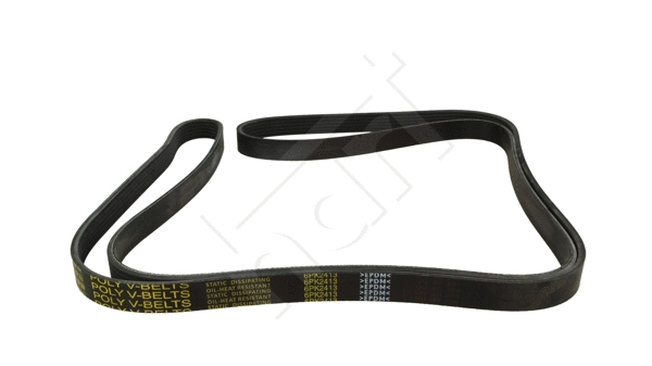 V-Ribbed Belt (917 750)