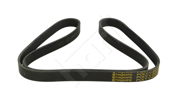 V-Ribbed Belt (917 763)