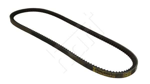 V-Belt (305 575)