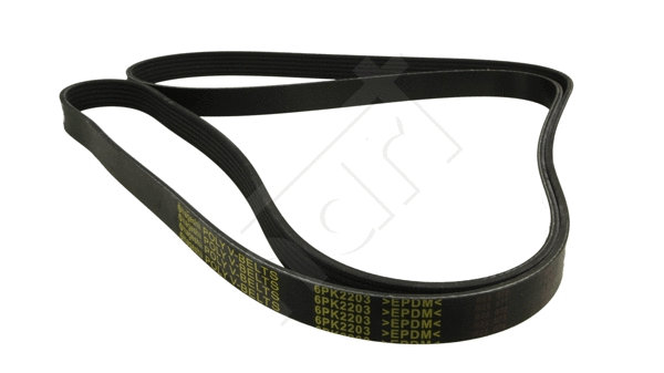V-Ribbed Belt (368 985)