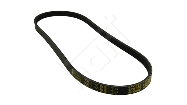 V-Ribbed Belt (368 857)