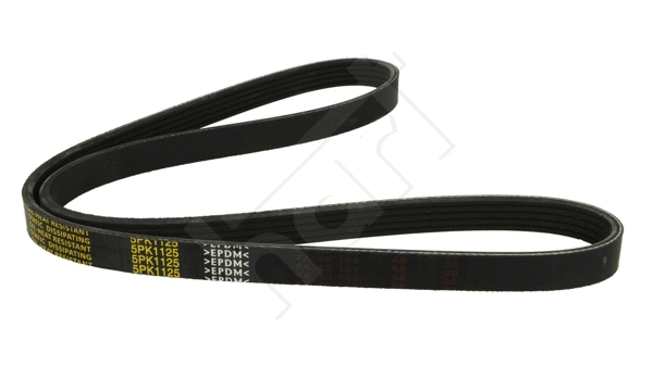 V-Ribbed Belt (334 297)