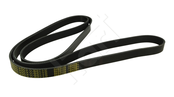 V-Ribbed Belt (368 981)