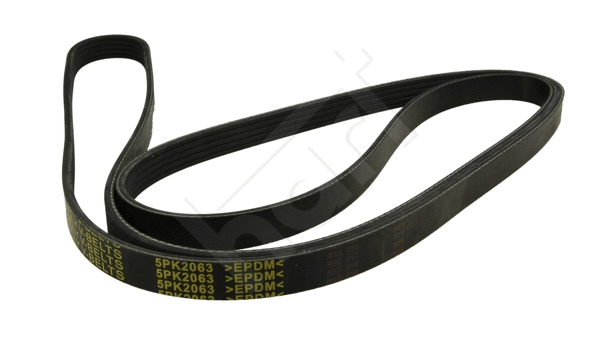 V-Ribbed Belt (368 890)