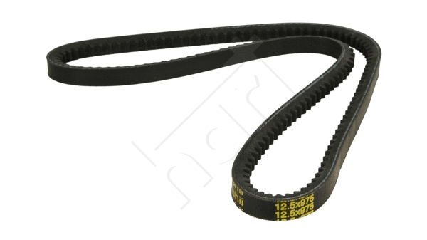 V-Belt (331 661)