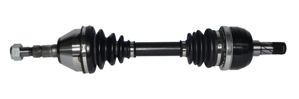 Drive Shaft (462 092)