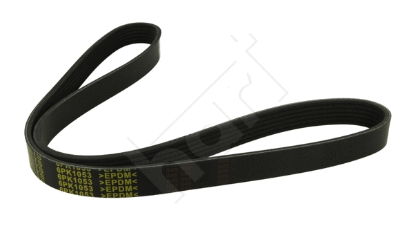 V-Ribbed Belt (368 800)