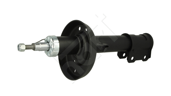 Shock Absorber (805 373)