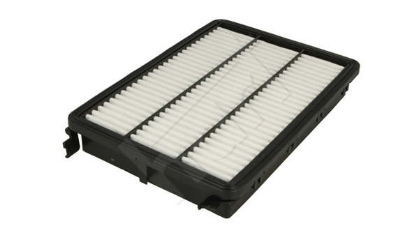 Air Filter (311 101)