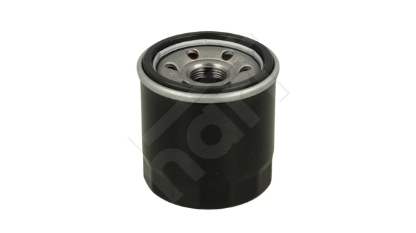 Oil Filter (382 751)