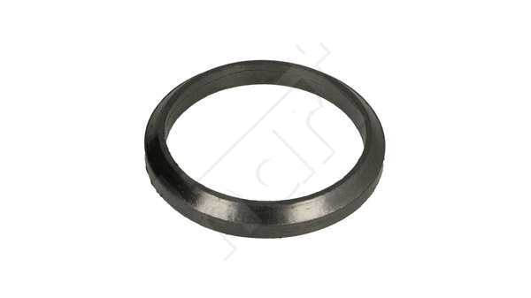 Seal Ring, exhaust pipe