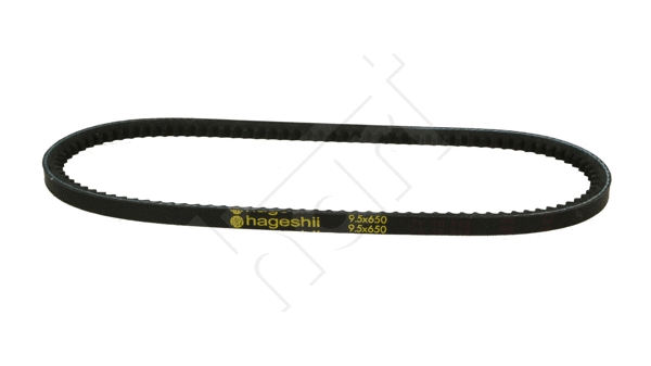 V-Belt (305 627)