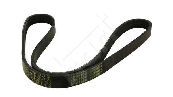 V-Ribbed Belt (368 862)