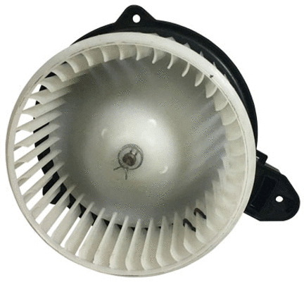 Interior Blower (604 376)