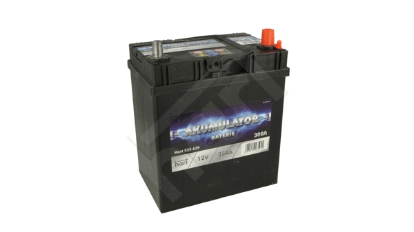 Starter Battery (525 639)