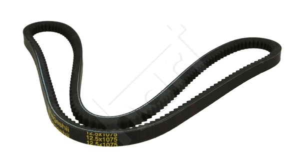 V-Ribbed Belt (334 194)