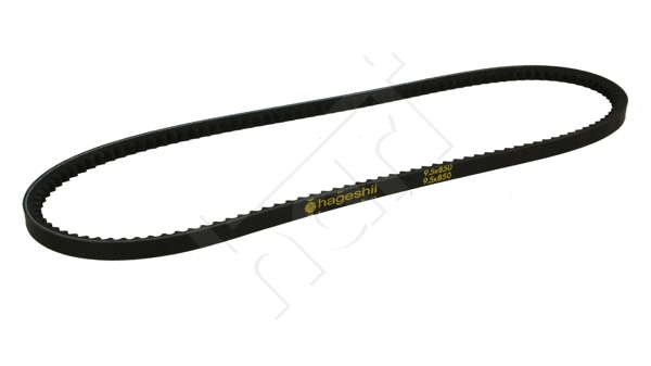 V-Belt (305 621)