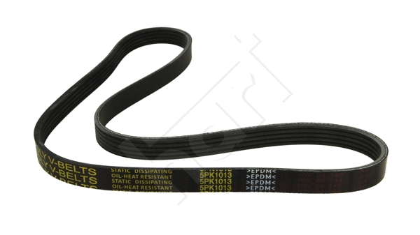 V-Ribbed Belt (305 701)
