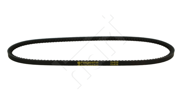 V-Belt (338 049)
