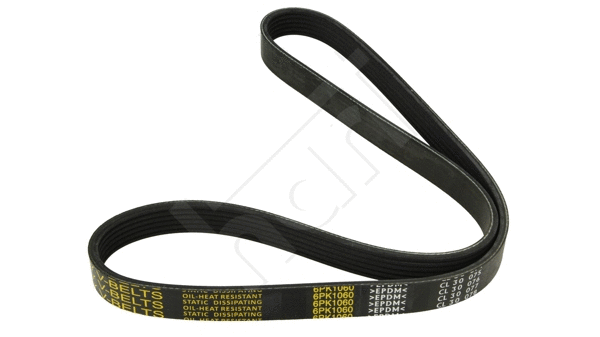V-Ribbed Belt (917 765)