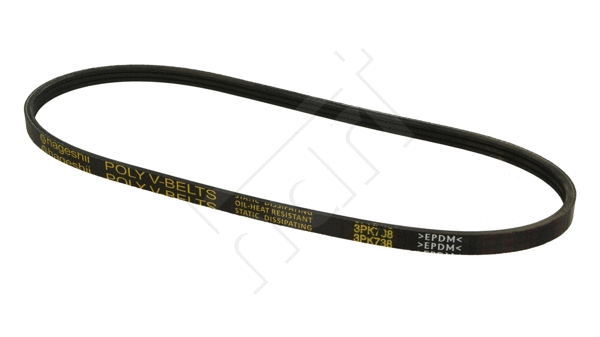 V-Ribbed Belt (334 251)