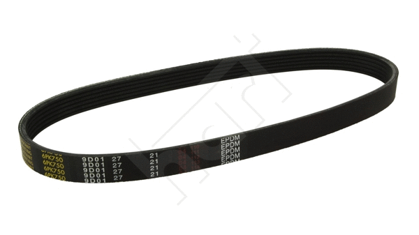 V-Ribbed Belt (338 065)