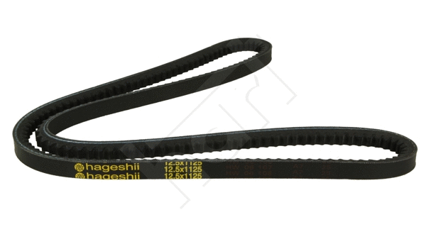 V-Belt (334 196)