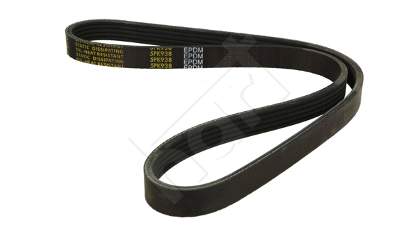 V-Ribbed Belt (331 927)