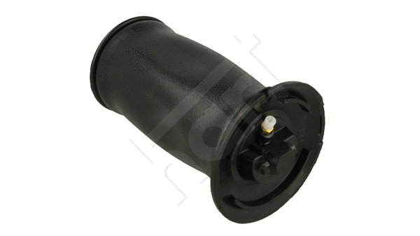 Air Spring, suspension (813 023)