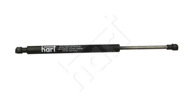 Gas Spring, boot/cargo area (810 383)