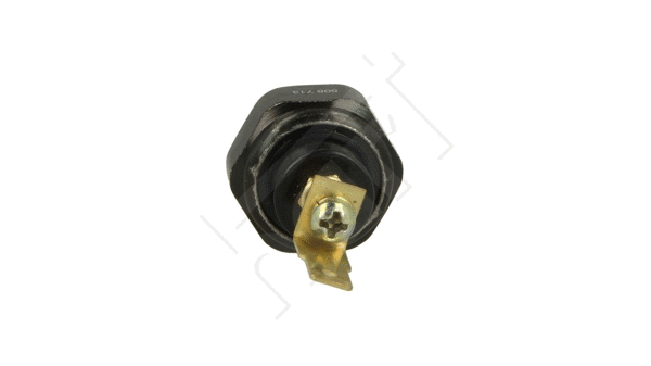Oil Pressure Switch (508 713)