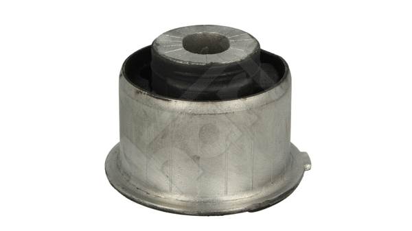 Bushing, axle beam (449 736)
